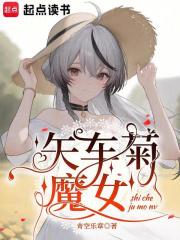 矢车菊魔女